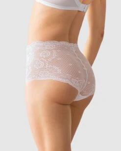 Retro Lace Classic Brief -Leonisa Sale Store 012897 000 1200X1500 2021 1
