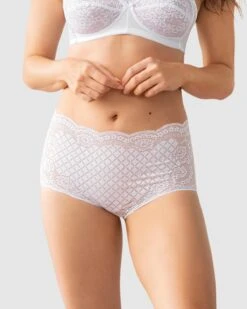 Retro Lace Classic Brief -Leonisa Sale Store 012897 000 1200X1500 2021 2