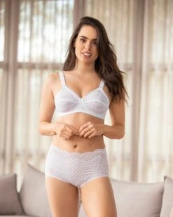 Retro Lace Classic Brief -Leonisa Sale Store 012897 000 1200X1500 2021 4