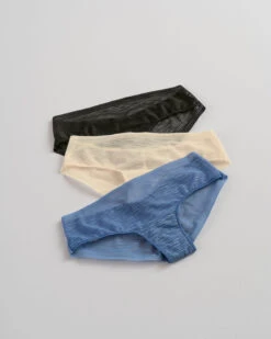 Sheer Lace Hipster Knicker 30 Sheer Lace Hipster Knicker -Leonisa Sale Store 012961 253 1200X1500 2021 5