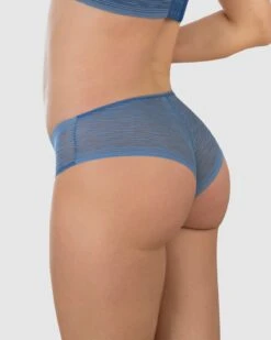 Sheer Lace Hipster Knicker 35 Sheer Lace Hipster Knicker -Leonisa Sale Store 012961 512 1200X1500 2021 1