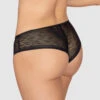 Sheer Lace Hipster Knicker 1 Sheer Lace Hipster Knicker -Leonisa Sale Store 012961 700 1200X1500 2021 1